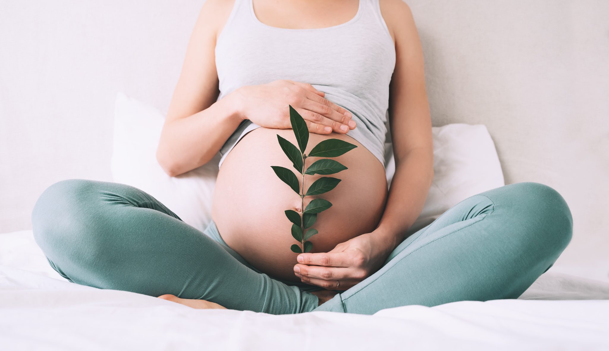 Pregnant person seated cross-legged, holding a leafy stem against the belly